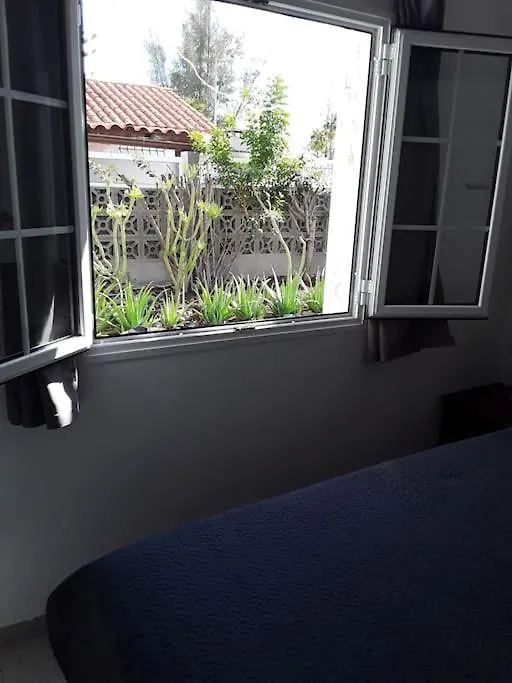 Tres Beau Bungalow,Jardin Tropical, Renovation Ete 2020 Playa del Ingles  Playa del Ingles (Gran Canaria)