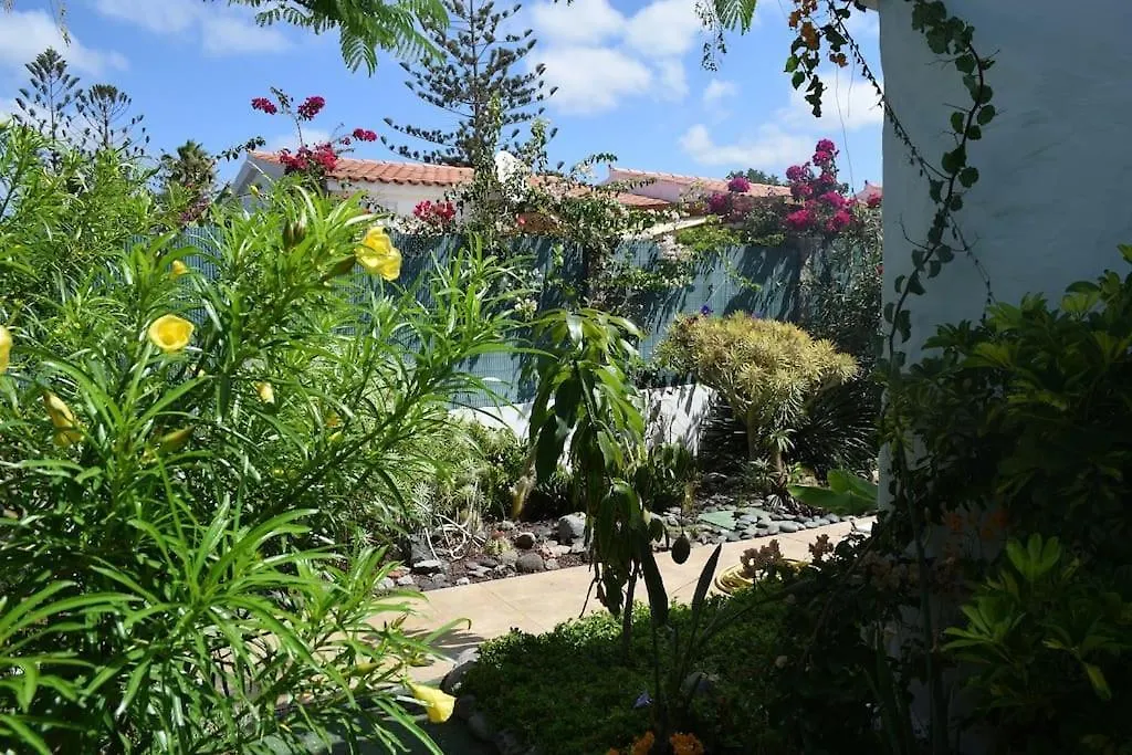 Tres Beau Bungalow,Jardin Tropical, Renovation Ete 2020 Playa del Ingles  Playa del Ingles (Gran Canaria)