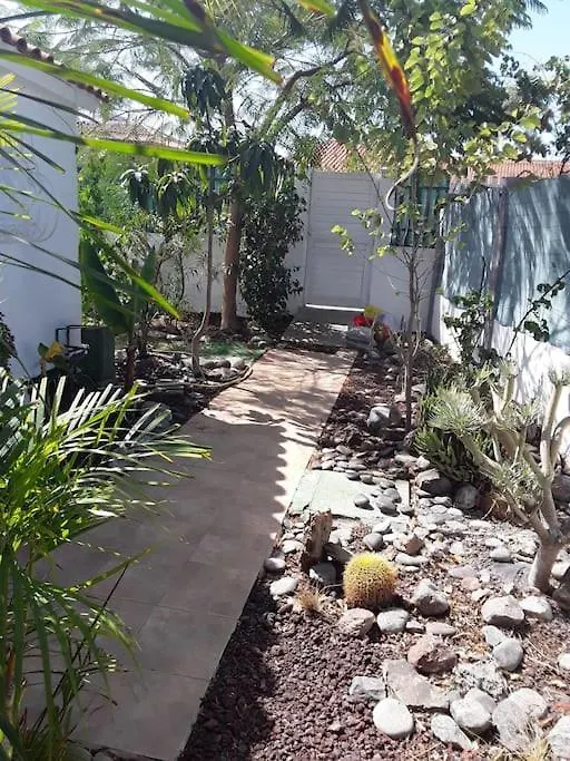 Tres Beau Bungalow,Jardin Tropical, Renovation Ete 2020 Playa del Ingles  0*, Playa del Ingles (Gran Canaria) Spain
