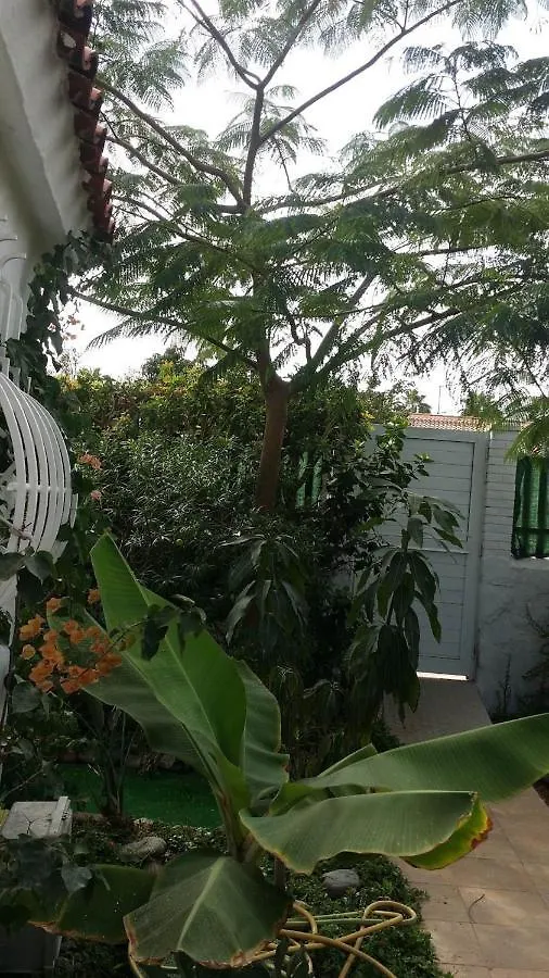 Tres Beau Bungalow,Jardin Tropical, Renovation Ete 2020 Playa del Ingles  Holiday home