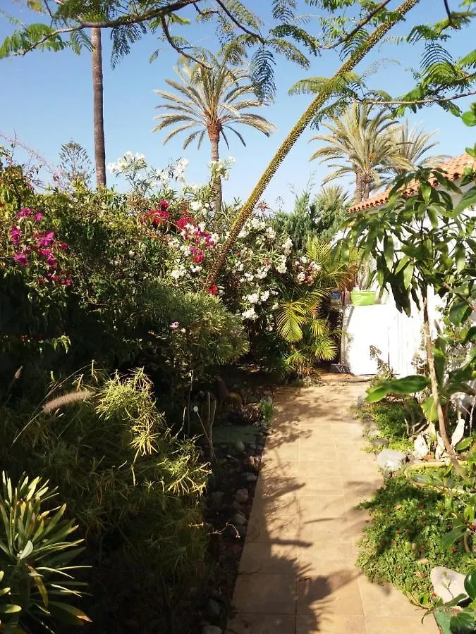 Tres Beau Bungalow,Jardin Tropical, Renovation Ete 2020 Playa del Ingles  Spain