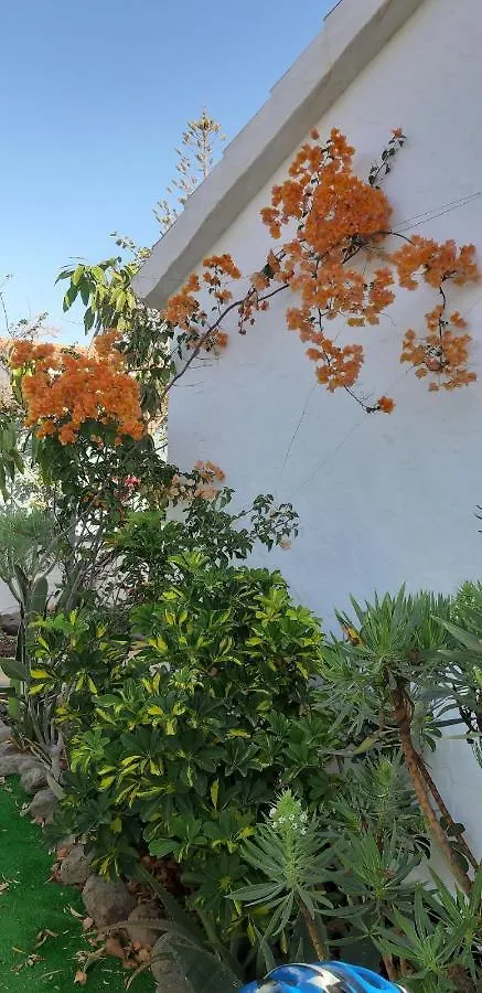 Tres Beau Bungalow,Jardin Tropical, Renovation Ete 2020 Playa del Ingles  0*, Playa del Ingles (Gran Canaria) Spain