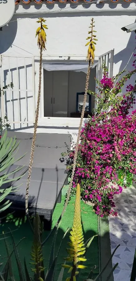 Tres Beau Bungalow,Jardin Tropical, Renovation Ete 2020 Playa del Ingles  Holiday home Playa del Ingles (Gran Canaria)
