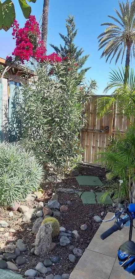 Holiday home Tres Beau Bungalow,Jardin Tropical, Renovation Ete 2020 Playa del Ingles  Spain