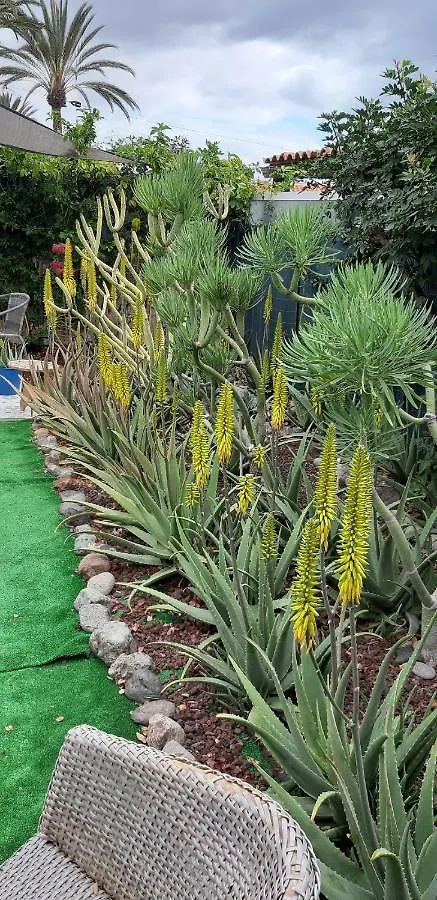 Holiday home Tres Beau Bungalow,Jardin Tropical, Renovation Ete 2020 Playa del Ingles