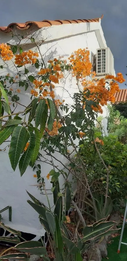 Tres Beau Bungalow,Jardin Tropical, Renovation Ete 2020 Playa del Ingles  0*, Playa del Ingles (Gran Canaria)