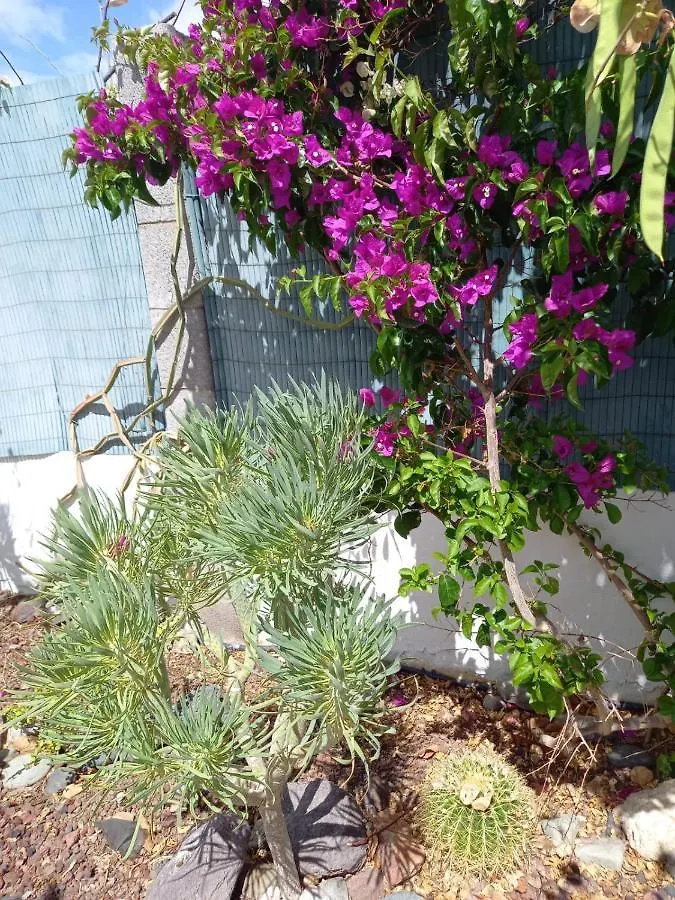 Holiday home Tres Beau Bungalow,Jardin Tropical, Renovation Ete 2020 Playa del Ingles
